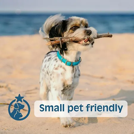 דירה Parco Hemingway